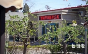 北京博瑞芳华康养公寓收费详解