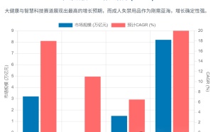 掘金銀發經濟：四大高潛力賽道深度剖析（機遇+路徑）