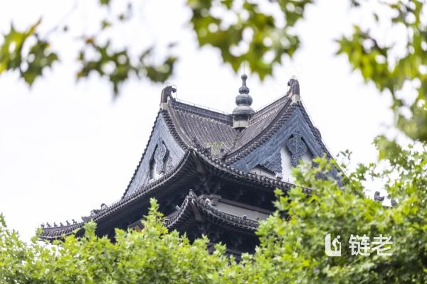 大家的家·合肥梧桐里城心社区样板示范区开放参观!梧桐树下,听秋语~ - 链老