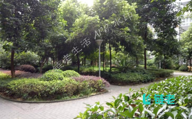 重庆市渝中福利院（化龙桥分院）图片